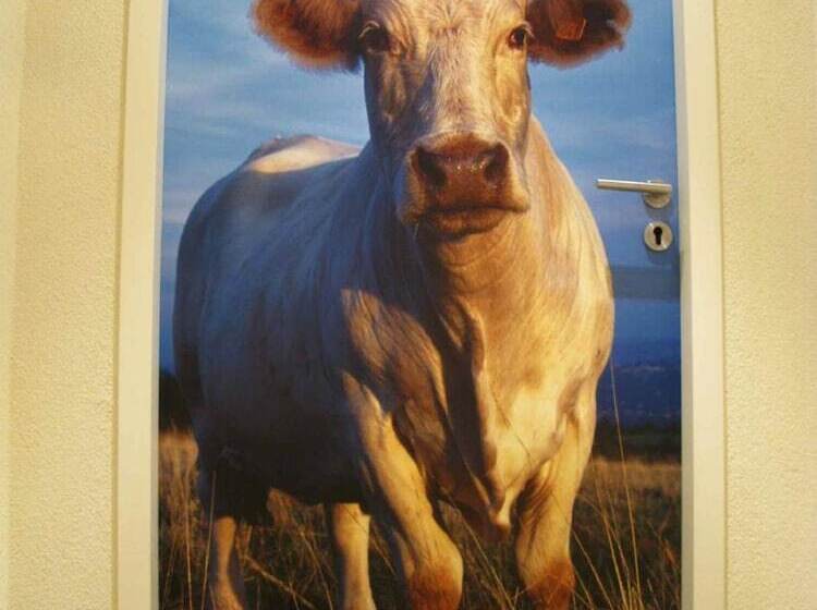 בית מלון כפרי Les Roches 1500