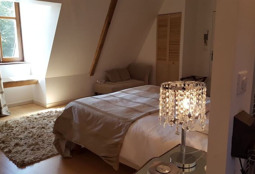 בית מלון כפרי Château   Hôtel Le Sallay