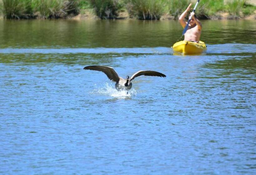 فندق Château De La Motte Beaumanoir