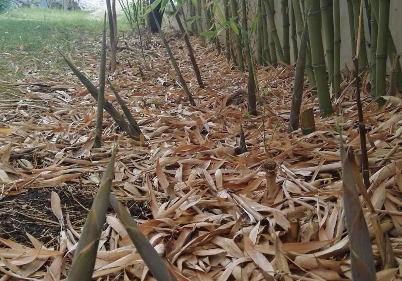 호텔 Hôtel Cinépole   Proche Paris