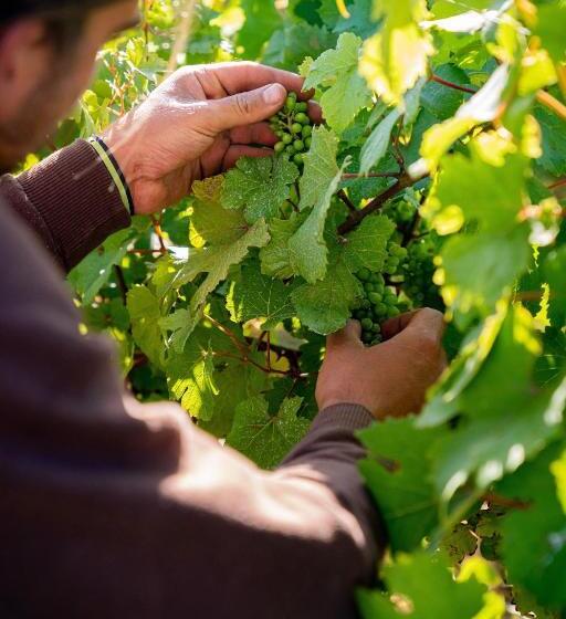 éco Domaine La Fontaine Hotel Spa & Résidence