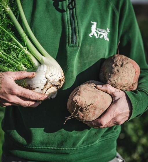 éco Domaine La Fontaine Hotel Spa & Résidence