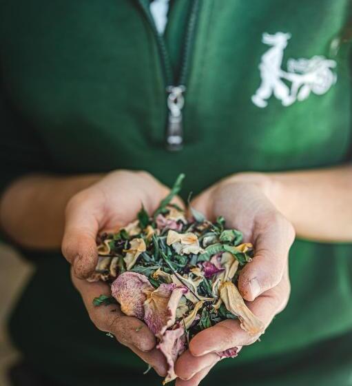 éco Domaine La Fontaine Hotel Spa & Résidence