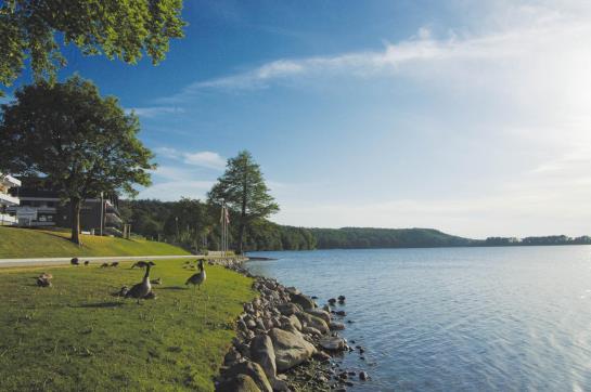 Seehotel Diekseepark Superior