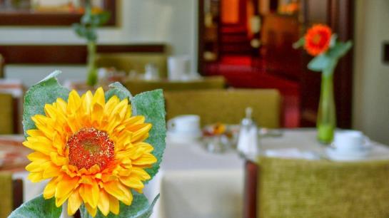 Seehotel Diekseepark Superior