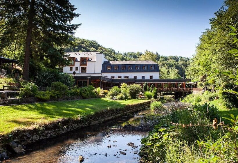 Отель Heidsmuhle