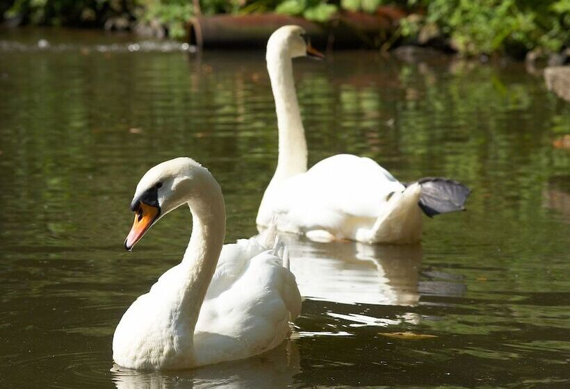 ホテル Heidsmuhle