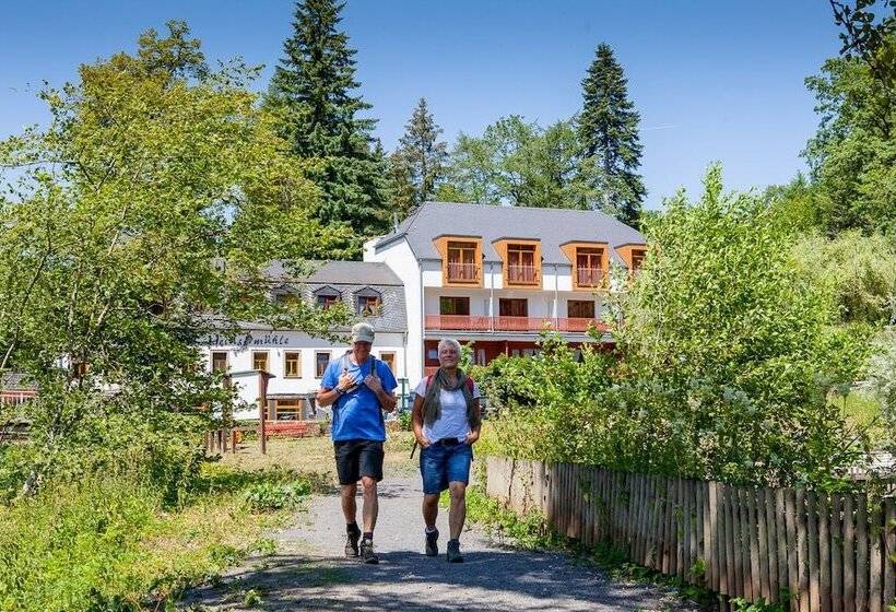 Отель Heidsmuhle