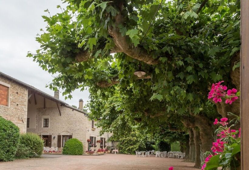 酒店 Hôtel Les Platanes