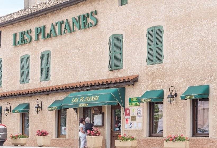 酒店 Hôtel Les Platanes