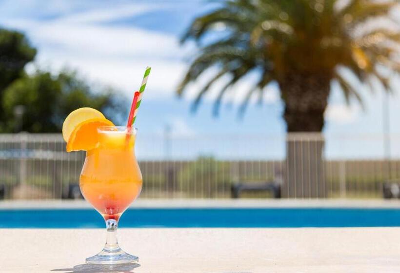 ホテル Ibis Perpignan Nord Rivesaltes