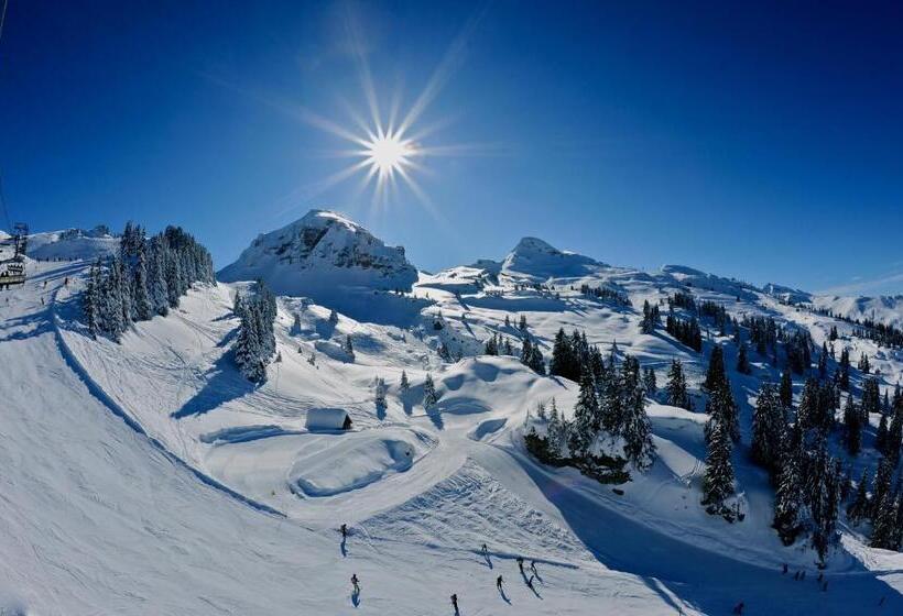 酒店 Ibis Thonon Centre