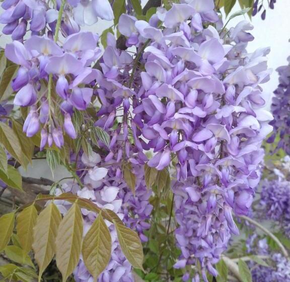 Отель La Croix De Vernuche