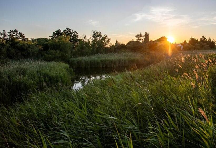 ホテル Le Mas De Cocagne