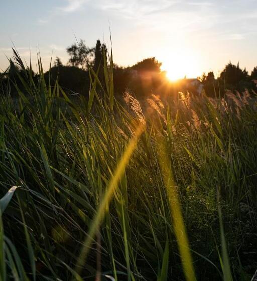 ホテル Le Mas De Cocagne