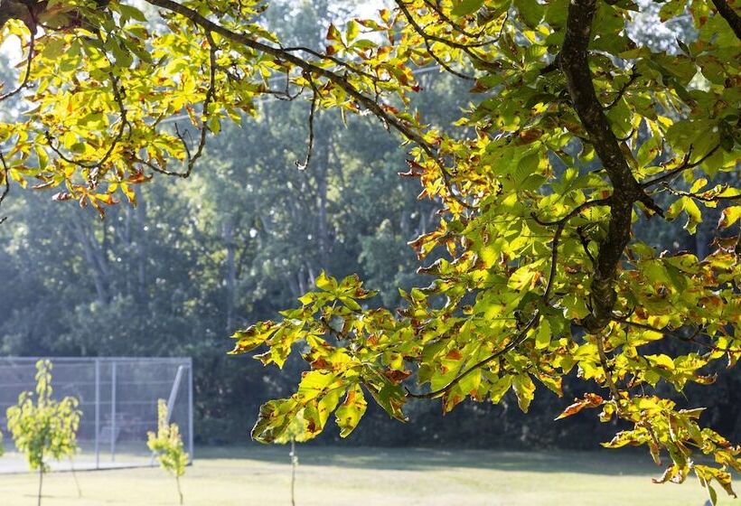 فندق Le Moulin De Valaurie