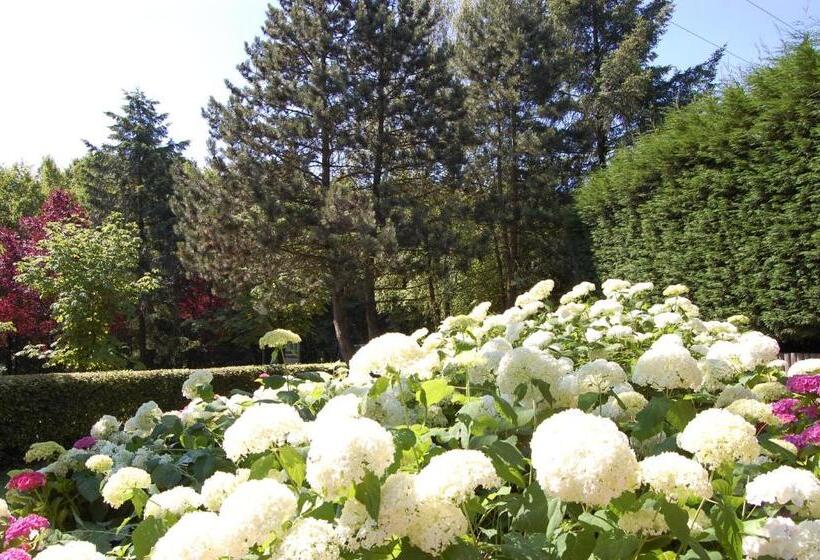 호텔 Lerie Waldesruh