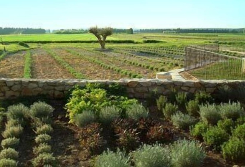 Отель Maison Chenet   Les Chambres Entre Vigne Et Garrigue   Teritoria