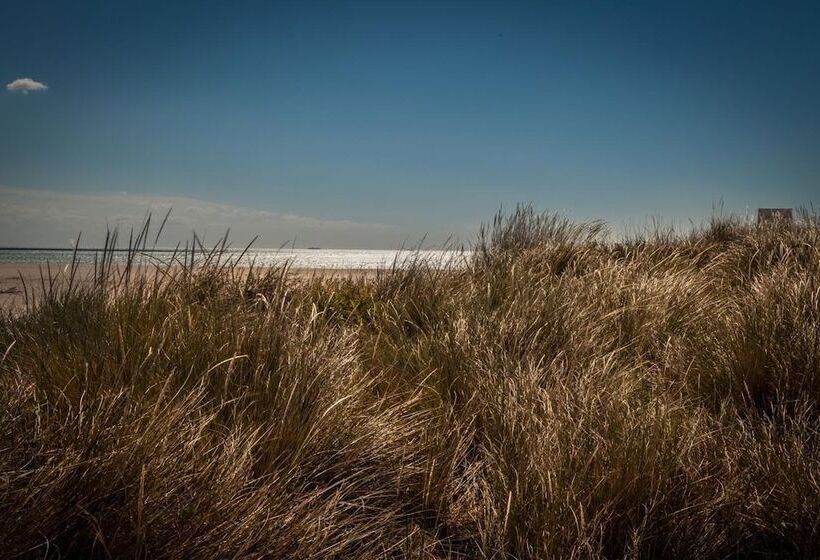 酒店 Hôtel Les Dunes