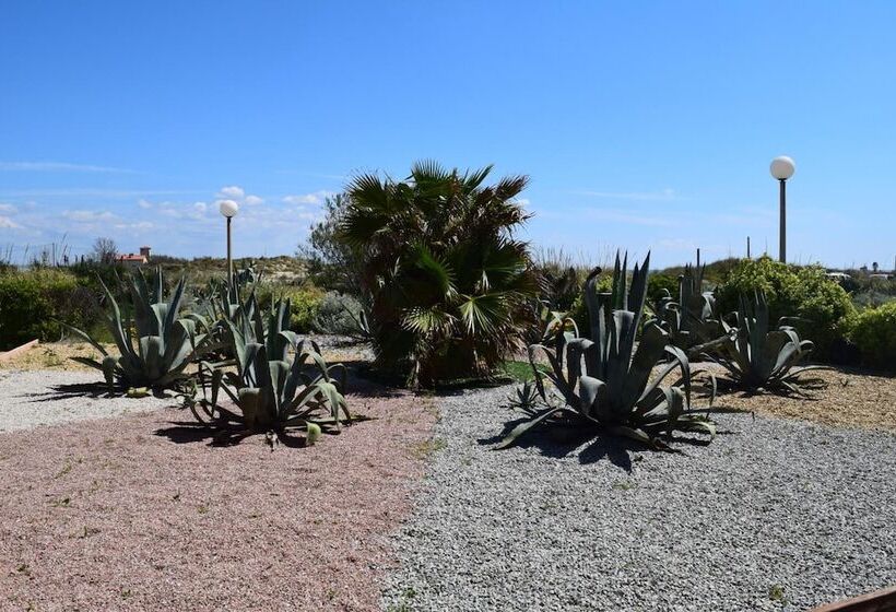 酒店 Hôtel Les Dunes