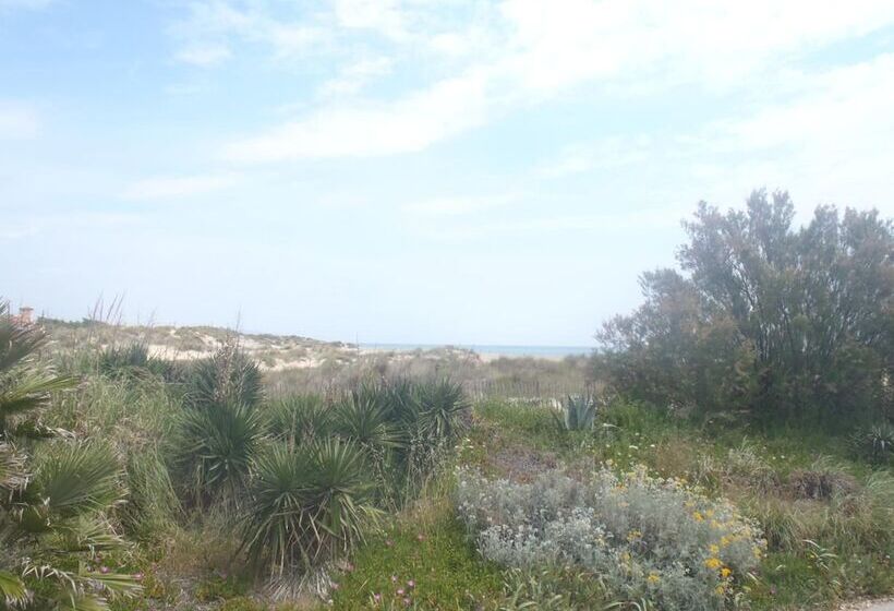 酒店 Hôtel Les Dunes