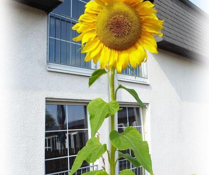 Отель Lindenberger Hof