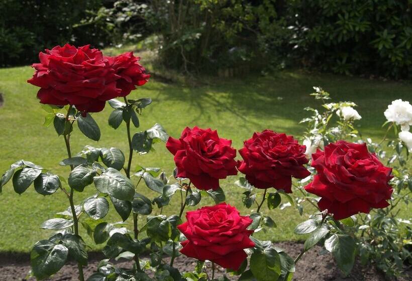 فندق Normanhurst