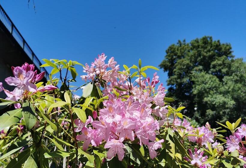 فندق Hôtel Ambroise