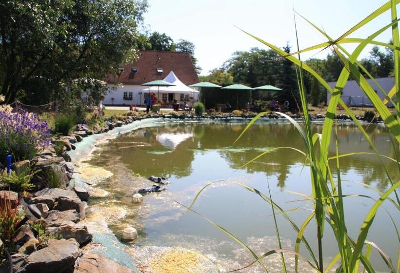 فندق Pension Am Mühlberg