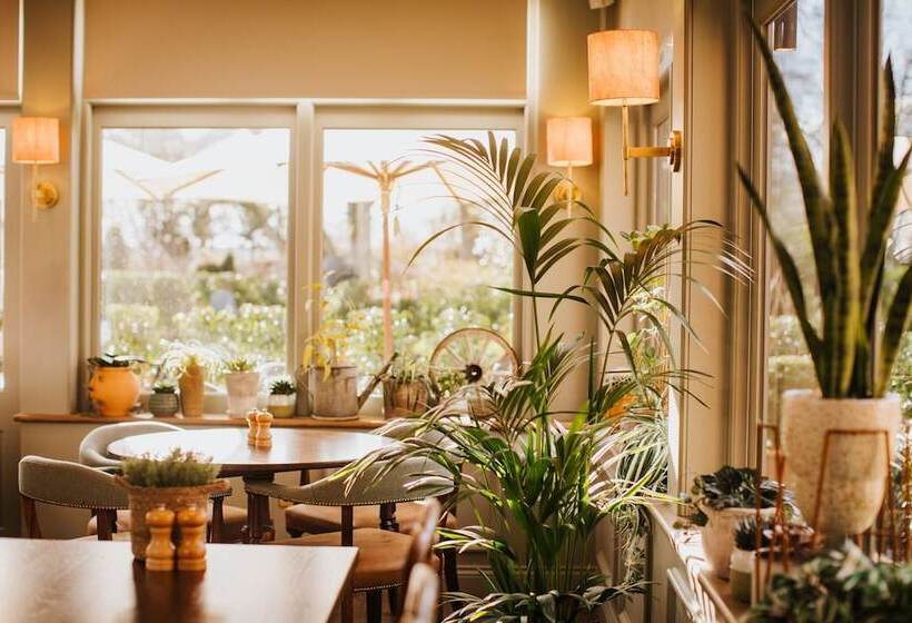 فندق The Farmhouse At Redcoats