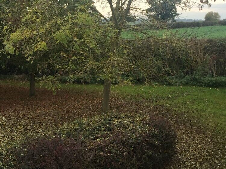 בית מלון כפרי Redwings Lodge Rutland