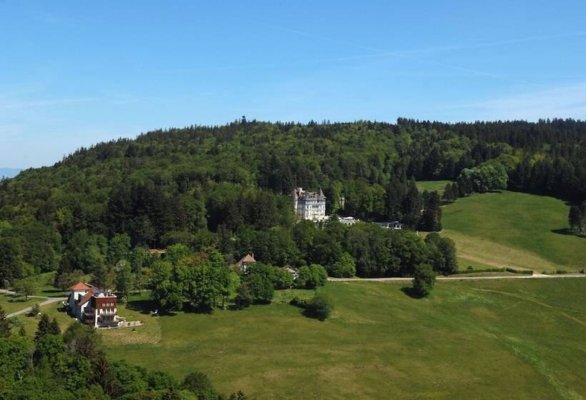 בית מלון כפרי Château Des Avenieres   Relais & Châteaux