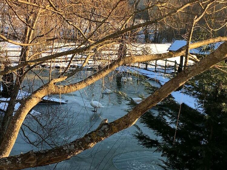 호텔 Restaurant Le Regal