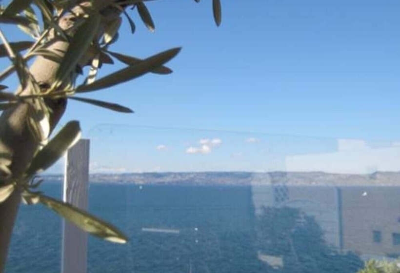 호텔 Savoy Hôtel Evian