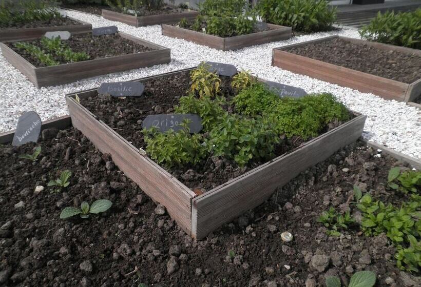 בית מלון כפרי Spa Les Saules