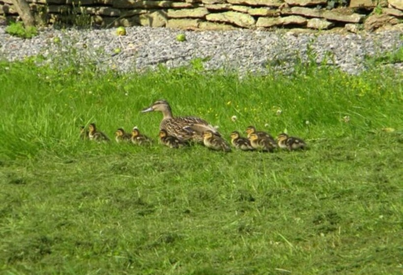 فندق The House Near Bath