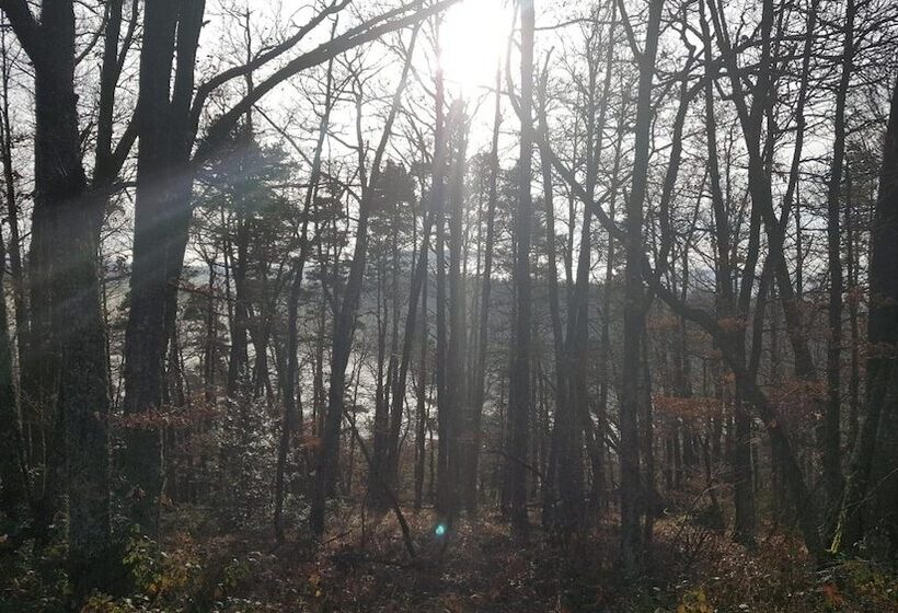 ホテル The Originals Access, Hôtel Saintflour