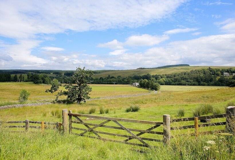 호텔 The Pheasant Inn