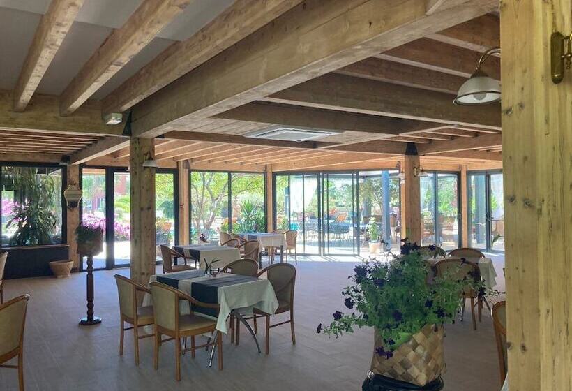 Отель Tropic Hôtel