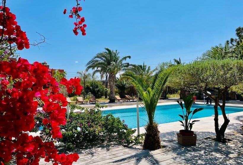 Отель Tropic Hôtel