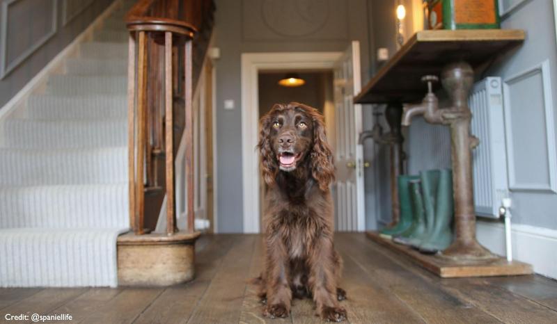 Отель Widbrook Grange