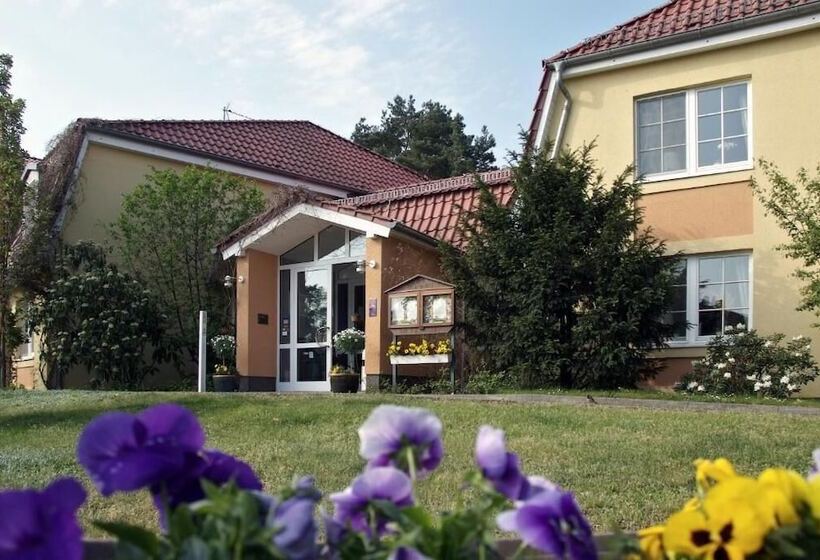 酒店 Zum Leineweber