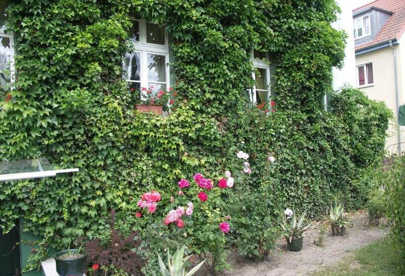 هتل & Restaurant ,,zur Alten Oder In Frankfurt Oder