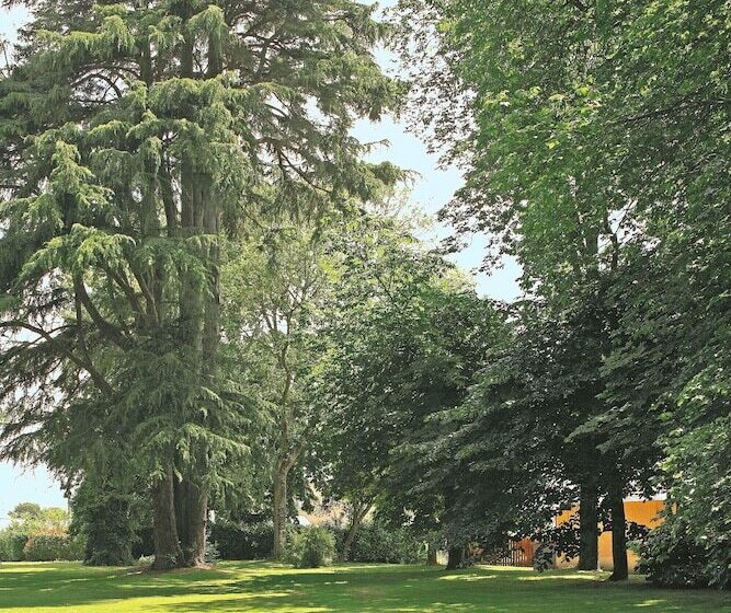 Logis Le Parc Hotel & Spa