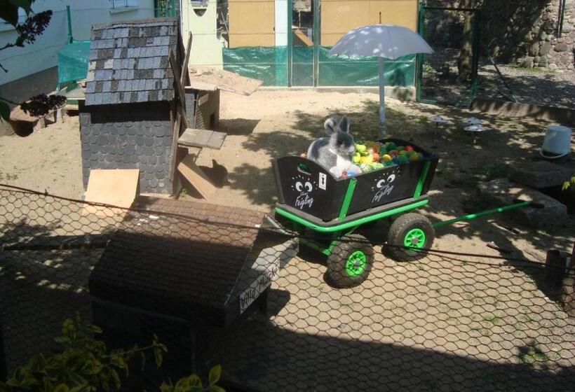 پانسیون Gasthof Goldener Hahn