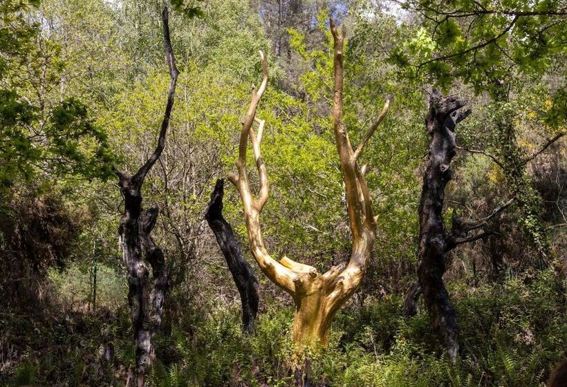 إقامة Lancelot & Spa   Domaine Du Roi Arthur