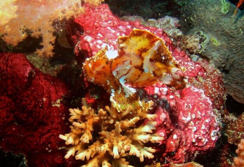 Taveuni Island Resort And Spa