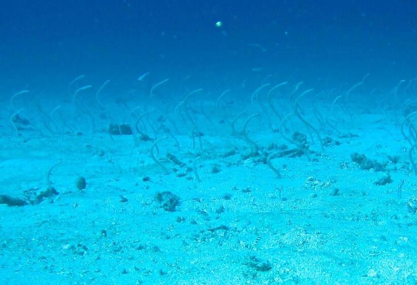 Taveuni Island Resort And Spa