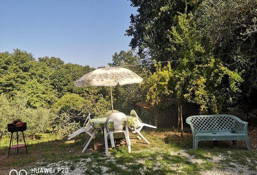 Ape Regina Agriturismo 3