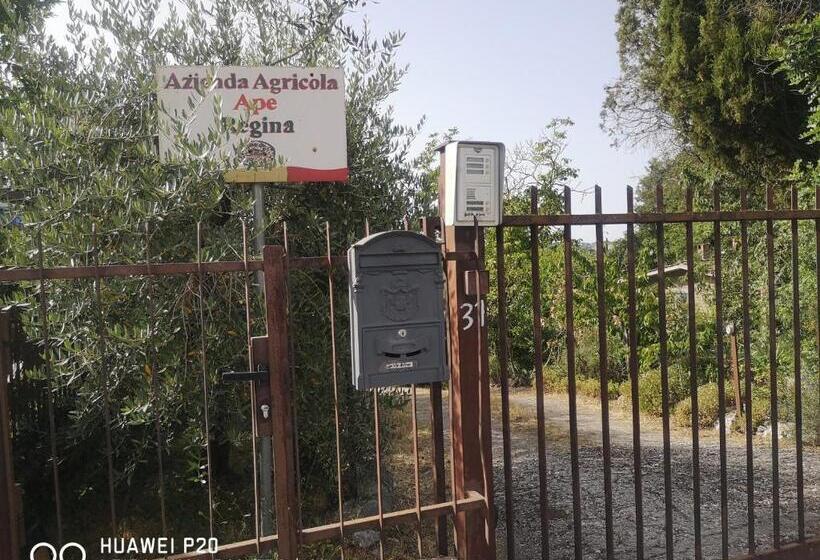 Ape Regina Agriturismo 3